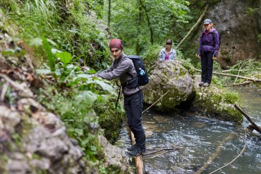 Bir grup insan dağ orman izinde hiking
