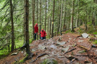 Doğal yeşil yaylaları'da yürüyüş genç çift 