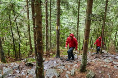 Doğal yeşil yaylaları'da yürüyüş genç çift 