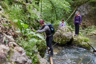 Bir grup insan dağ orman izinde hiking