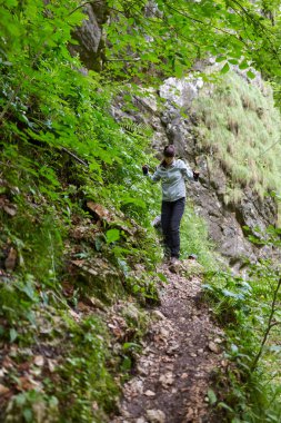 Genç kadın dağ orman izinde hiking