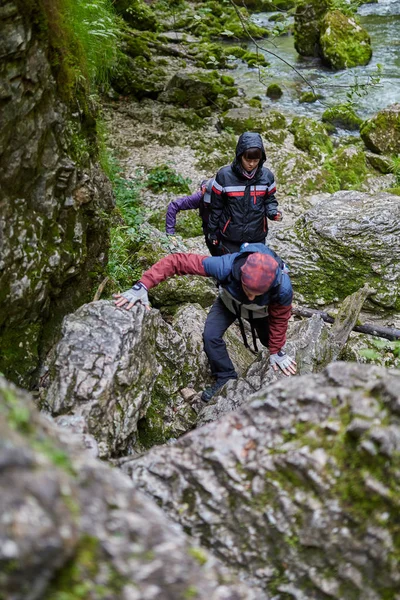 insanlar dağ orman izinde hiking