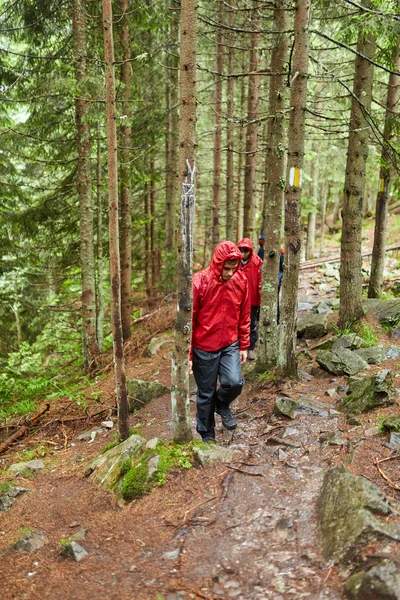 Jong Echt Paar Wandelen Mooie Groene Hooglanden — Stockfoto