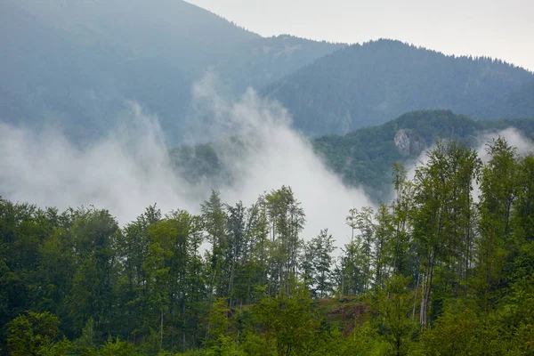Scenic View Clouds Mist Hills Covered Forests Romanian Mountains — Stock Photo, Image