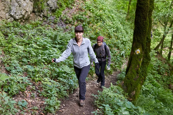 insanlar dağ orman izinde hiking