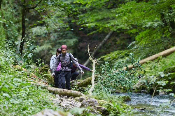 人们徒步漫步在山地森林里 — 图库照片