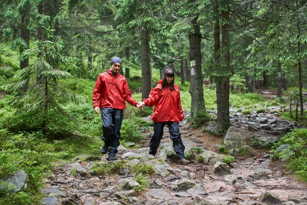 Unga Par Vandring Natursköna Gröna Högländerna — Stockfoto