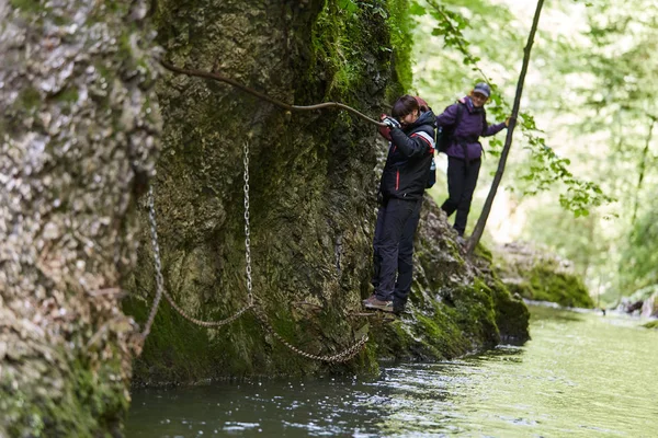 Mensen Wandelen Parcours Bergbos — Stockfoto