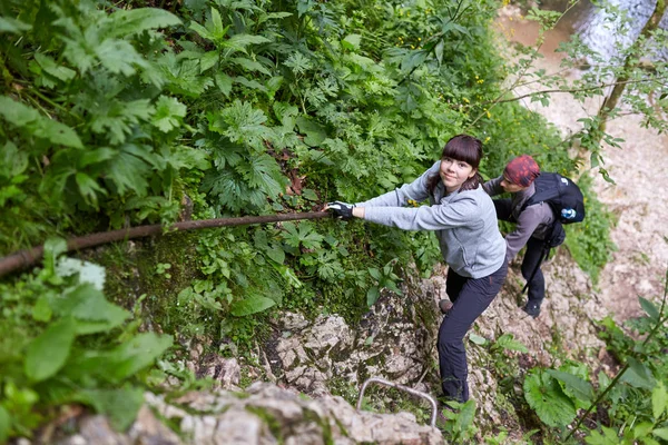 Mensen Wandelen Parcours Bergbos — Stockfoto