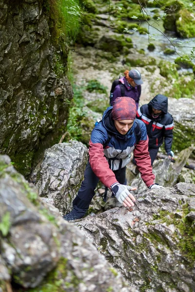 Wandergruppe Auf Wanderweg Bergwald — Stockfoto