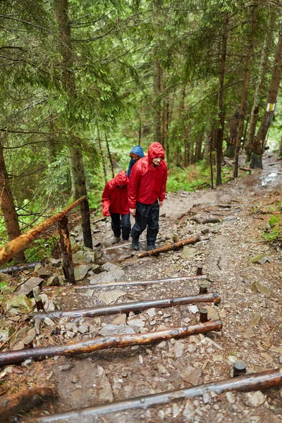 Gruppe Von Freunden Regenmänteln Wandert Hochland — Stockfoto