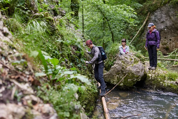 Bir grup insan dağ orman izinde hiking