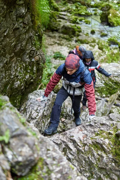 Bir grup insan dağ orman izinde hiking