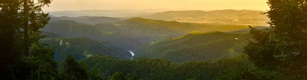 Doğal Gündoğumu Görünümünde Ormanlarla Kaplı Dağlar — Stok fotoğraf