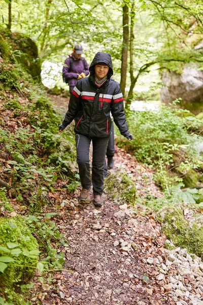 Menschen Wandern Auf Wanderwegen Bergwald — Stockfoto