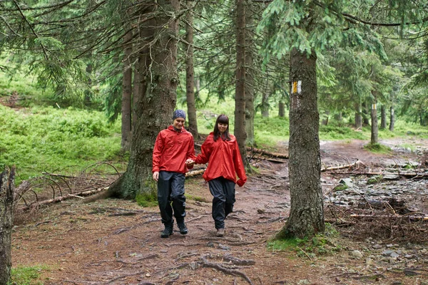 年轻夫妇徒步旅行在风景绿色高地 — 图库照片