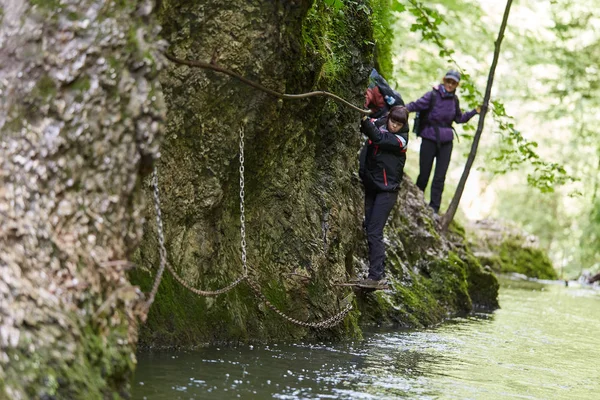 insanlar dağ orman izinde hiking
