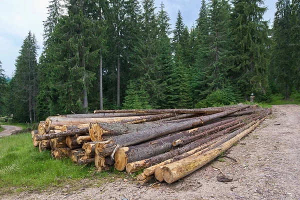 Vista Deforestación Agresiva Maderera Los Parques Nacionales Rumanos — Foto de Stock