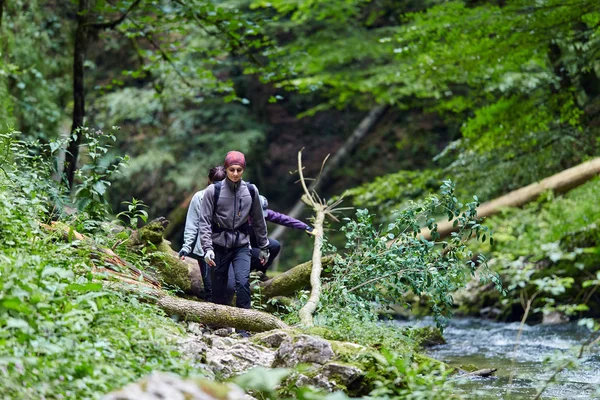 Adam dağ orman izinde hiking arkadaş grubu