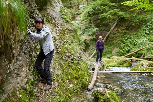 insanlar dağ orman izinde hiking