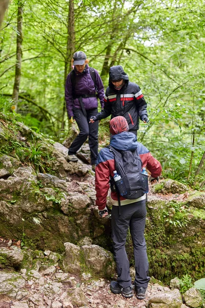 Grupo Pessoas Caminhando Trilha Floresta Montanha — Fotografia de Stock