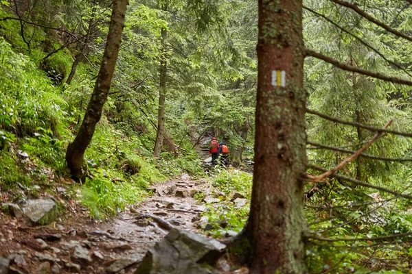 İn arkadaş grubu ile Dağlık bölgelerde hiking yağmurluklar