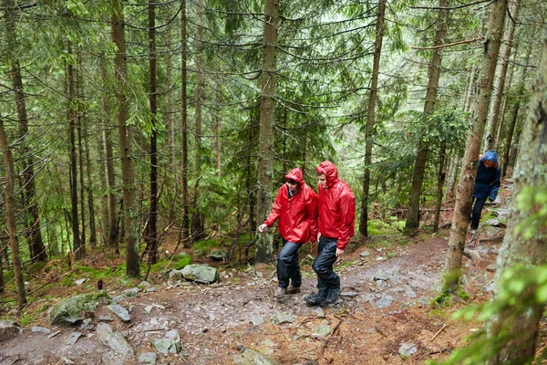 Groep Van Vrienden Regenjassen Wandelen Hooglanden — Stockfoto