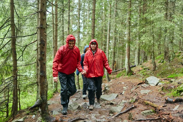 Junges Paar Beim Wandern Malerischen Grünen Hochland — Stockfoto