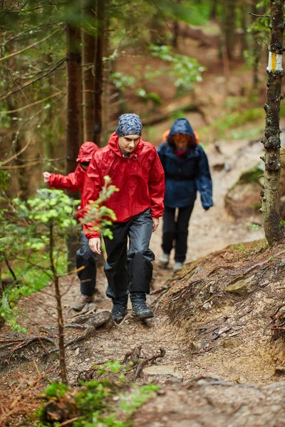 Gruppe Von Freunden Regenmänteln Wandert Hochland — Stockfoto