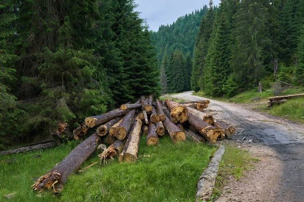 Romanya Milli parklarda keresteci, agresif ormansızlaşma görünümünü