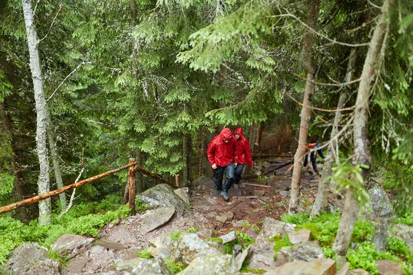 Jong Echt Paar Wandelen Mooie Groene Hooglanden — Stockfoto