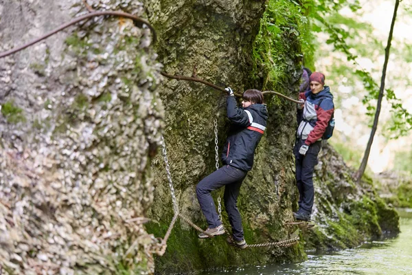 insanlar dağ orman izinde hiking