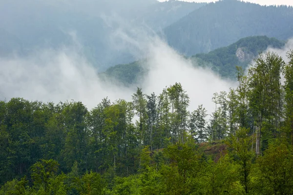 Bulutlar Sis Romen Dağlardaki Ormanlarda Kaplı Tepeler Üzerinde Doğal Görünümünü — Stok fotoğraf