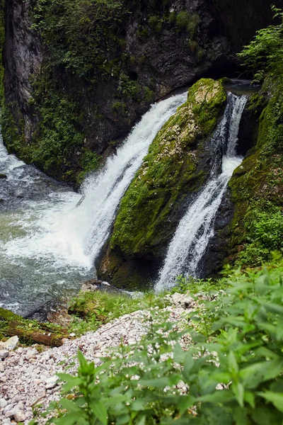 Malerischer Blick Auf Wasserfall Schlucht Und Üppiger Vegetation — Stockfoto