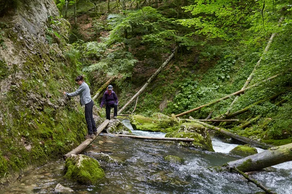 insanlar dağ orman izinde hiking