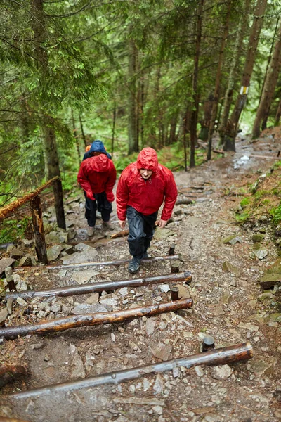 Gruppe Von Freunden Regenmänteln Wandert Hochland — Stockfoto