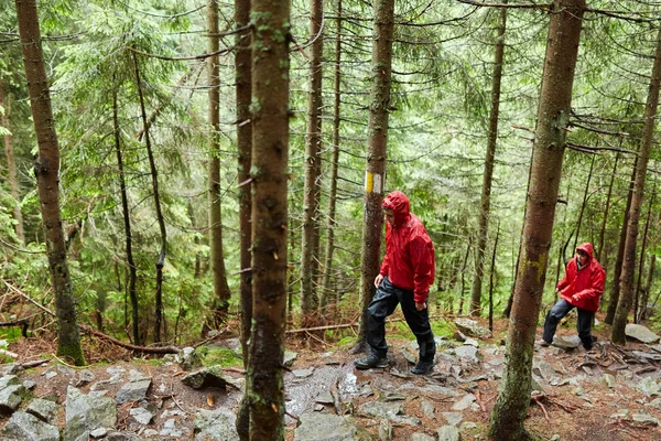 Jong Echt Paar Wandelen Mooie Groene Hooglanden — Stockfoto