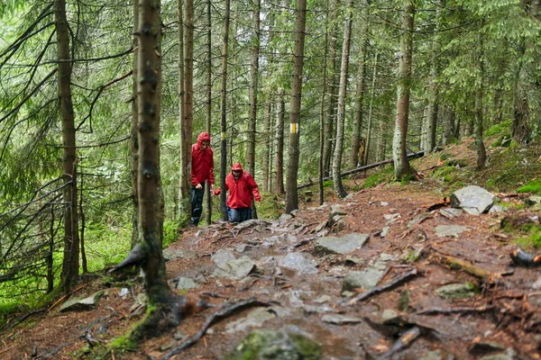 年轻夫妇徒步旅行在风景绿色高地 — 图库照片