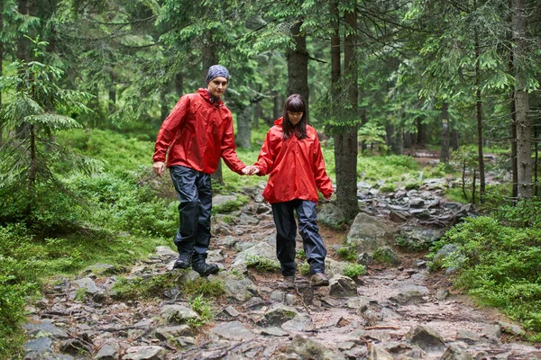 Pareja Joven Senderismo Las Montañas Verdes Escénicas —  Fotos de Stock