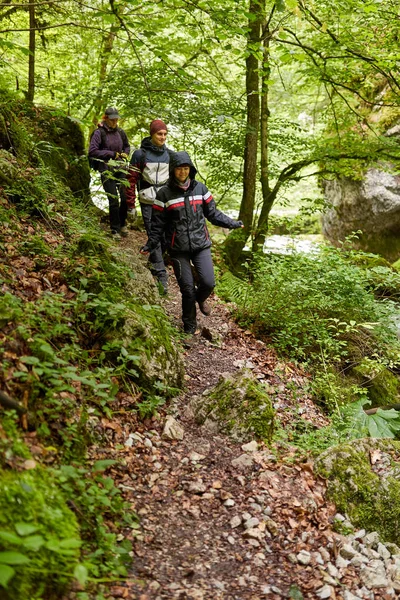 山の森林の道でハイキングの人々 のグループ — ストック写真