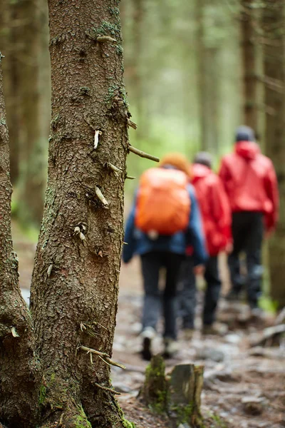İn arkadaş grubu ile Dağlık bölgelerde hiking yağmurluklar