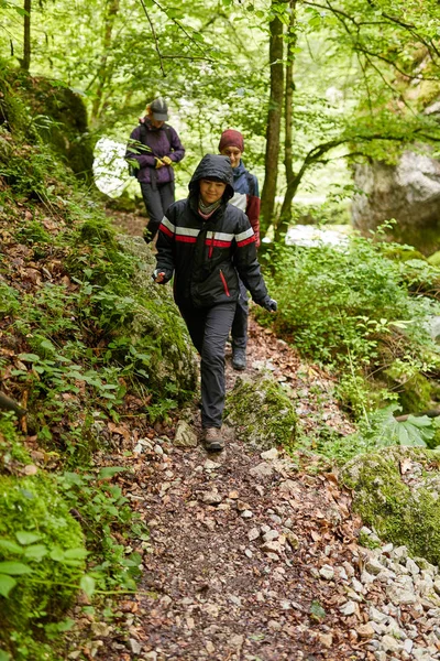 Bir grup insan dağ orman izinde hiking