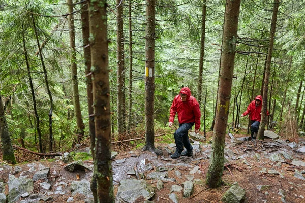 Doğal yeşil yaylaları'da yürüyüş genç çift 