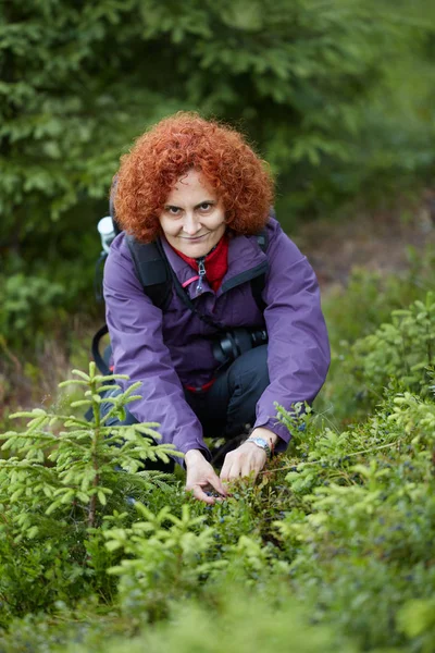 Woman Backpack Picking Huckleberries Trail — Stock Photo, Image
