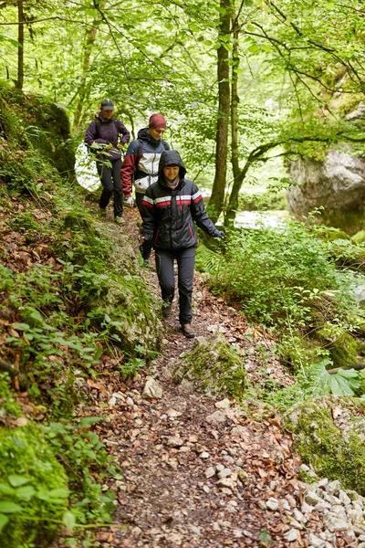 Grupo Personas Haciendo Senderismo Bosque Montaña — Foto de Stock