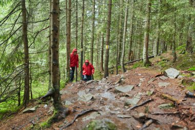 Doğal yeşil yaylaları'da yürüyüş genç çift 