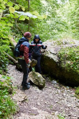 insanlar dağ orman izinde hiking
