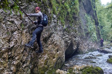 insanlar dağ orman tehlikeli izinde hiking