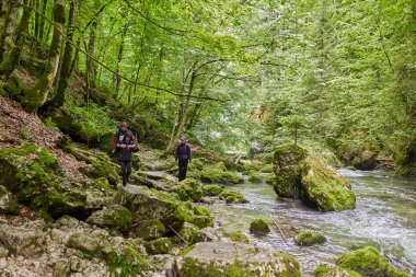 Bir grup insan dağ orman izinde hiking