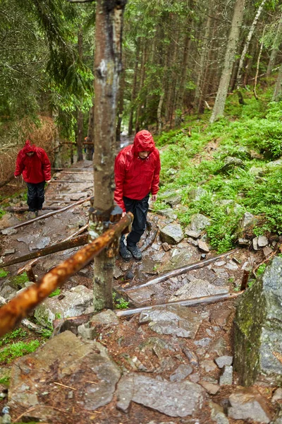 Junges Paar Beim Wandern Malerischen Grünen Hochland — Stockfoto